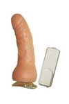 Pinino Cod.016-26