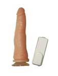 Bananin Cod.018-26